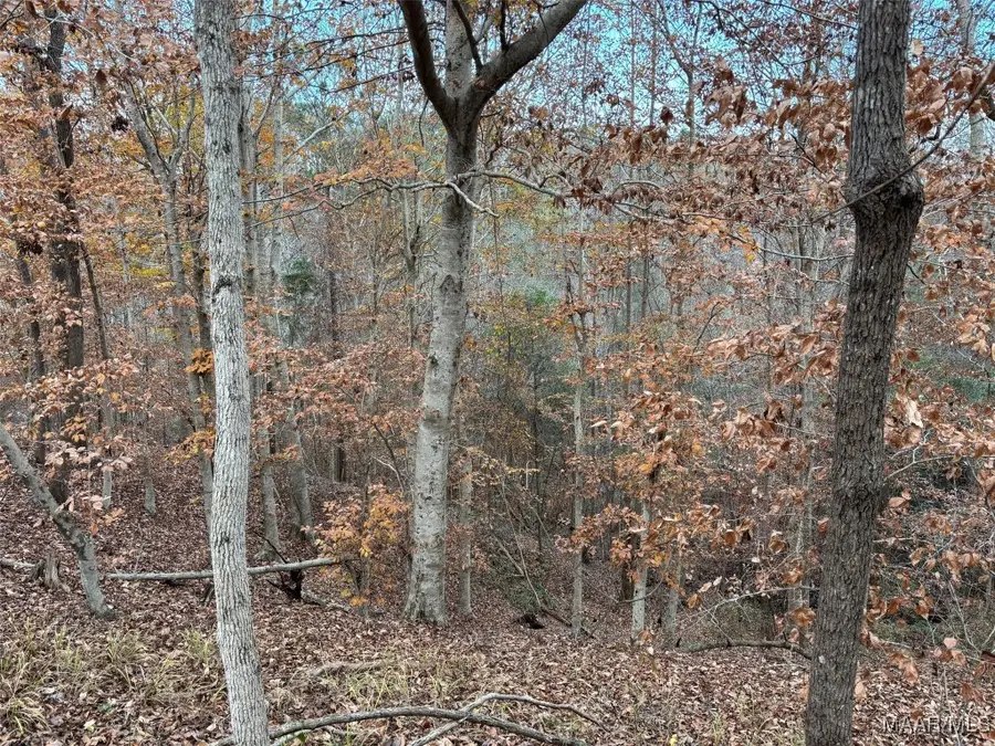 3942 Ridge Road, Greenville, AL 36037 - Image #3