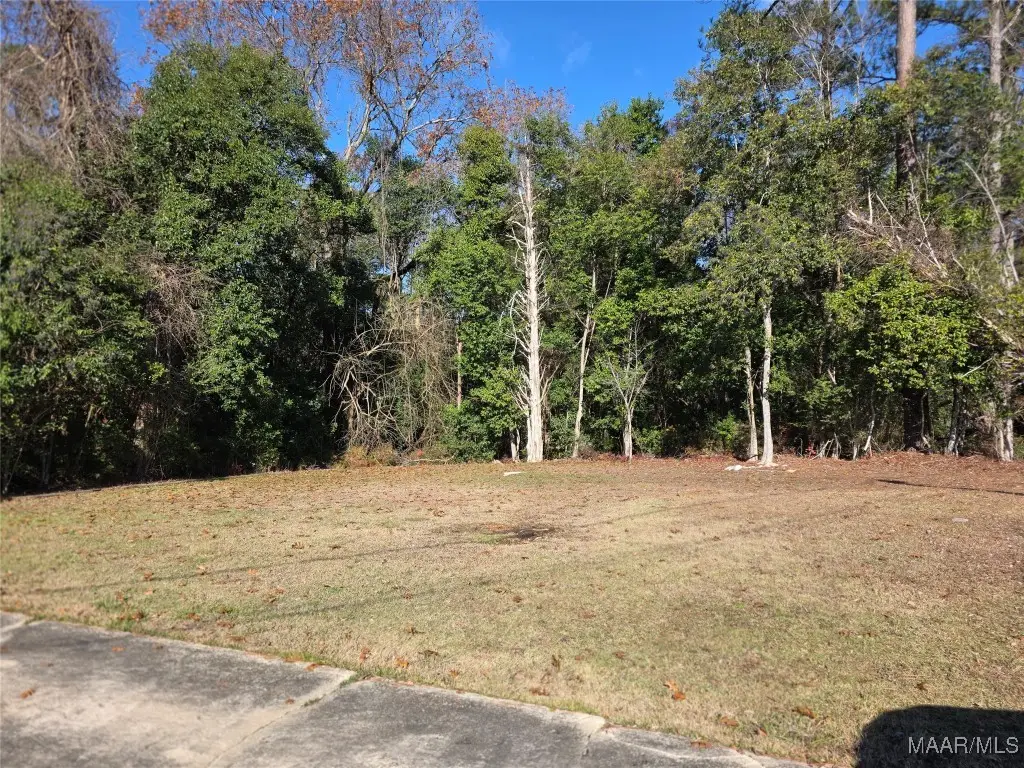 229 Cresthaven Court, Selma, AL 36701 - Image #1