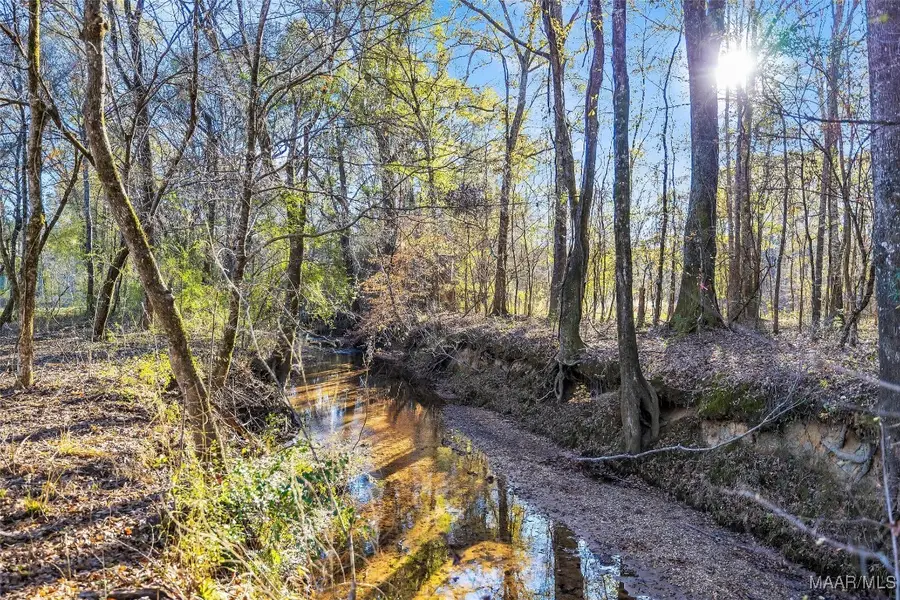 182 County Road 29, Prattville, AL 36067 - Image #3