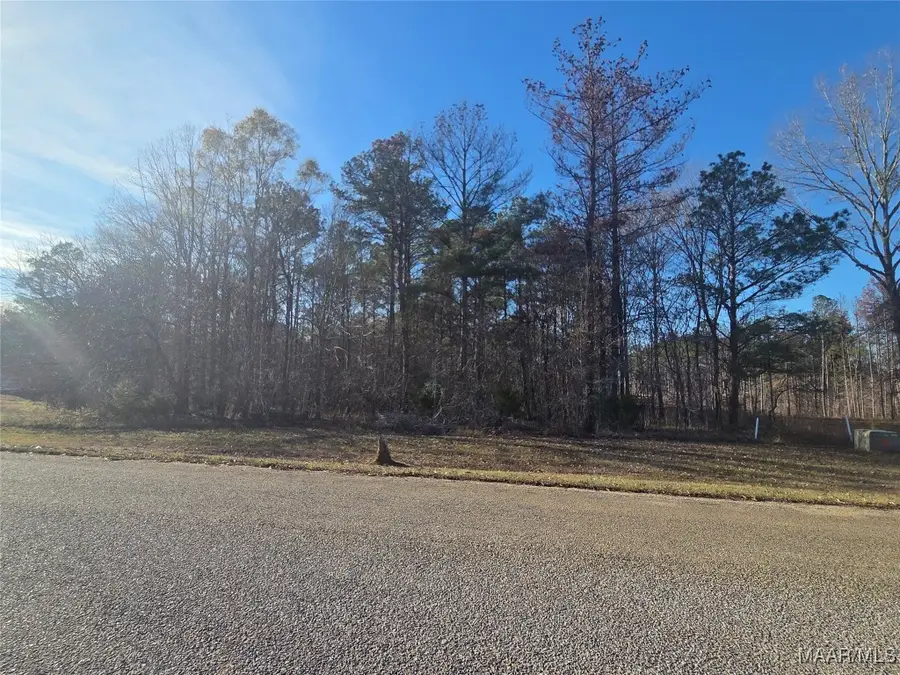 127 Woods N Water Lane, Mathews, AL 36064 - Image #3