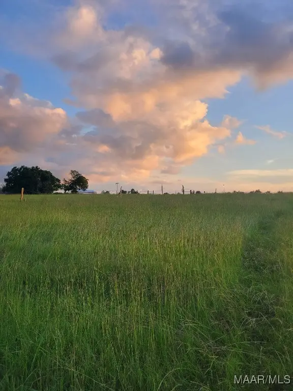 2580 County Road 59, Prattville, AL 36067 - Image #2