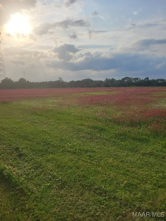 2580 County Road 59, Prattville, AL 36067 - Image #3