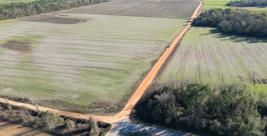 0A Wiggins Road, Frisco City, AL 36445 - Image #2