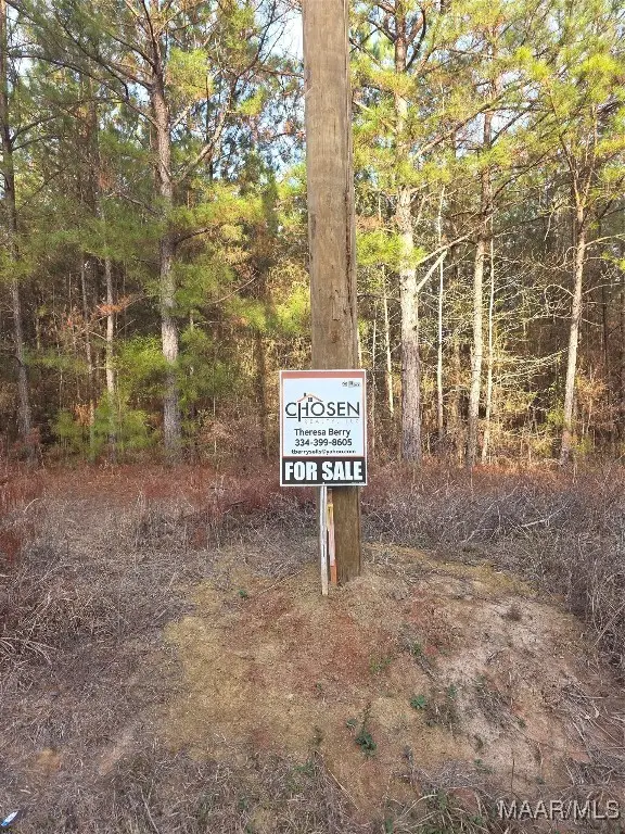 0 Amber Road, Shorter, AL 36075