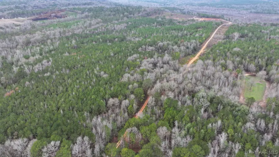 18917 Rifle Range Road, Tallassee, AL 36078 - Image #3