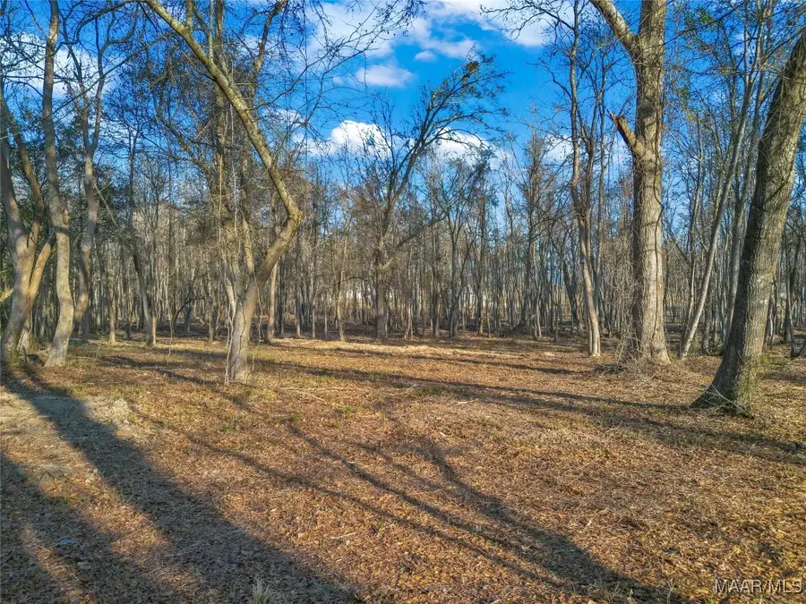 849 Baltzer Road, Wetumpka, AL 36092 - Image #3