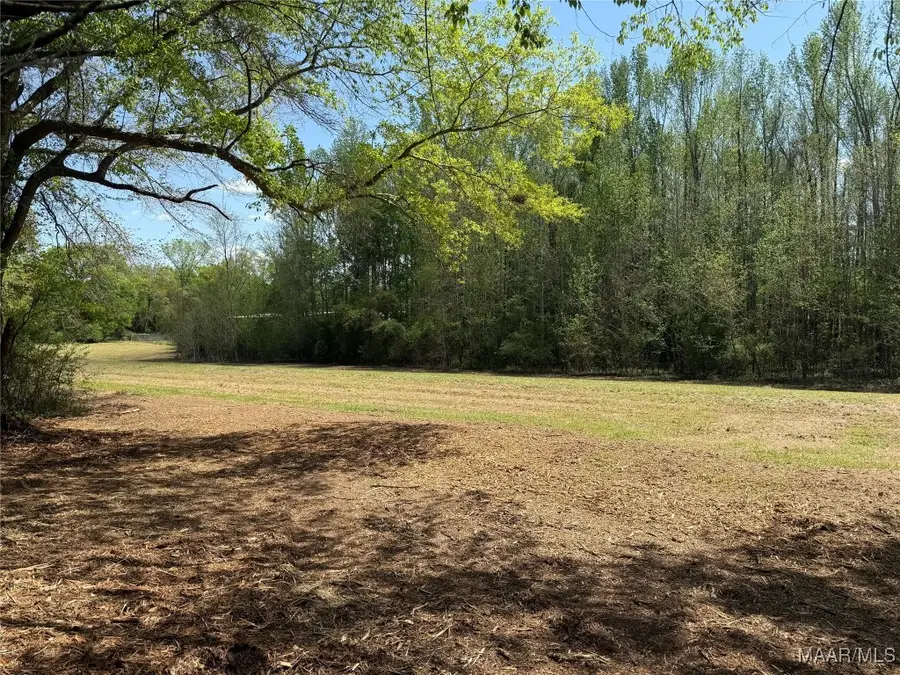 0 County Road 81, Booth, AL 36008 - Image #3
