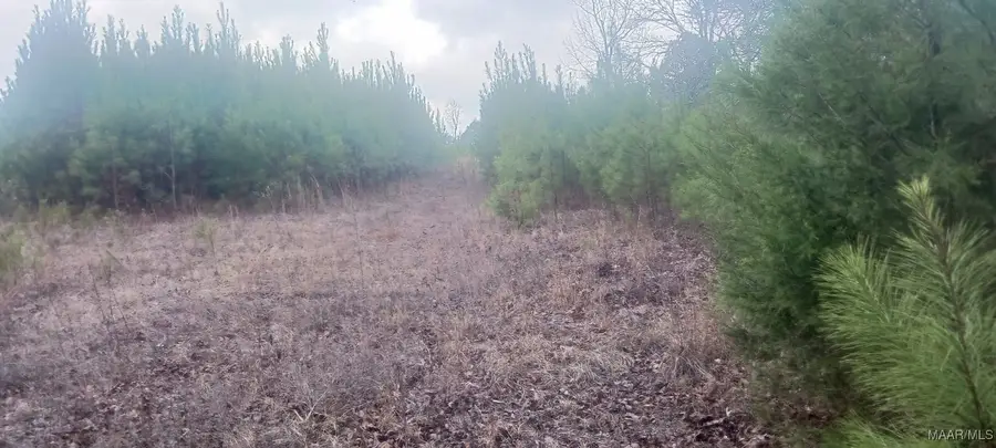 60 County Road 494, Verbena, AL 36091 - Image #3