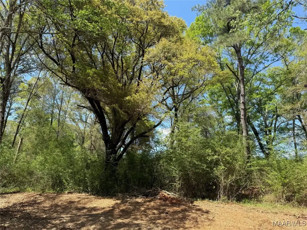 2 County Road 81, Booth, AL 36008 - Image #1