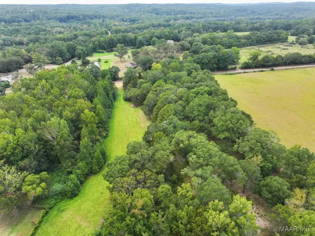 3 County Road 81, Booth, AL 36008 - Image #1