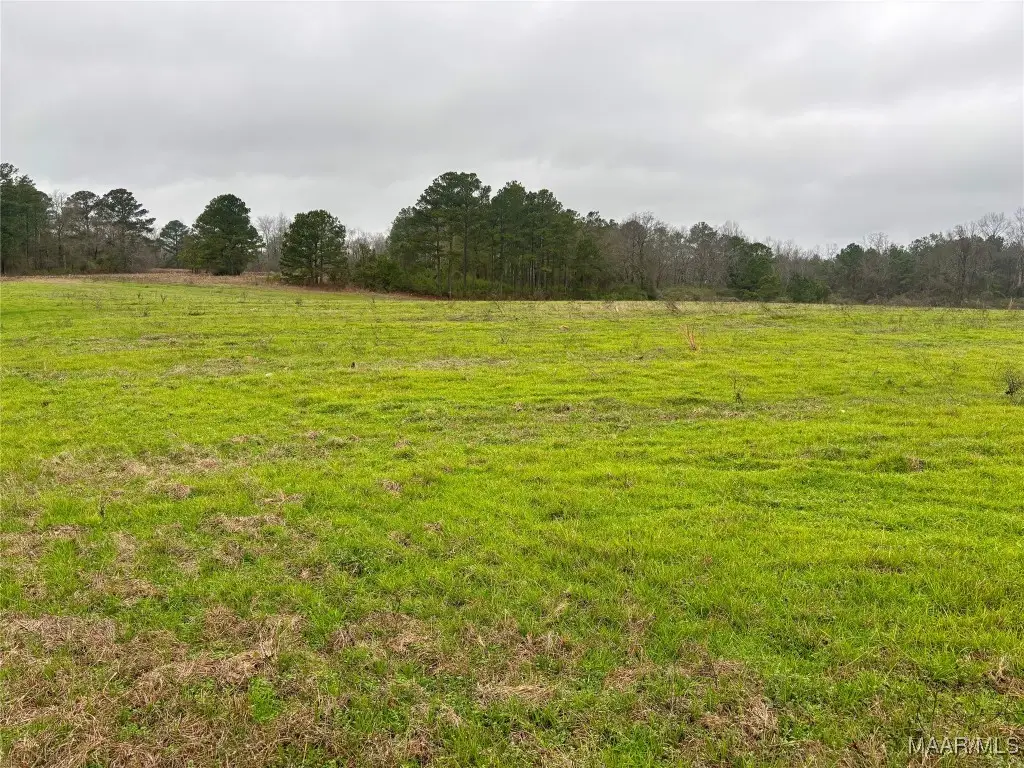 0 County Road 37, Lot 1, Clanton, AL 35045 - Image #1
