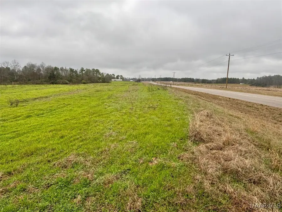 0 County Road 37, Lot 1, Clanton, AL 35045 - Image #2