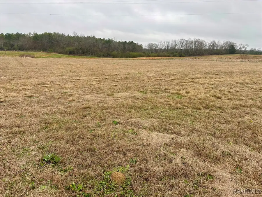 0 County Road 37, Lot 2, Clanton, AL 35045 - Image #2