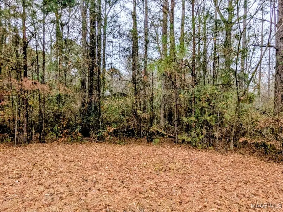 00 Noble Road, Tallassee, AL 36078 - Image #3