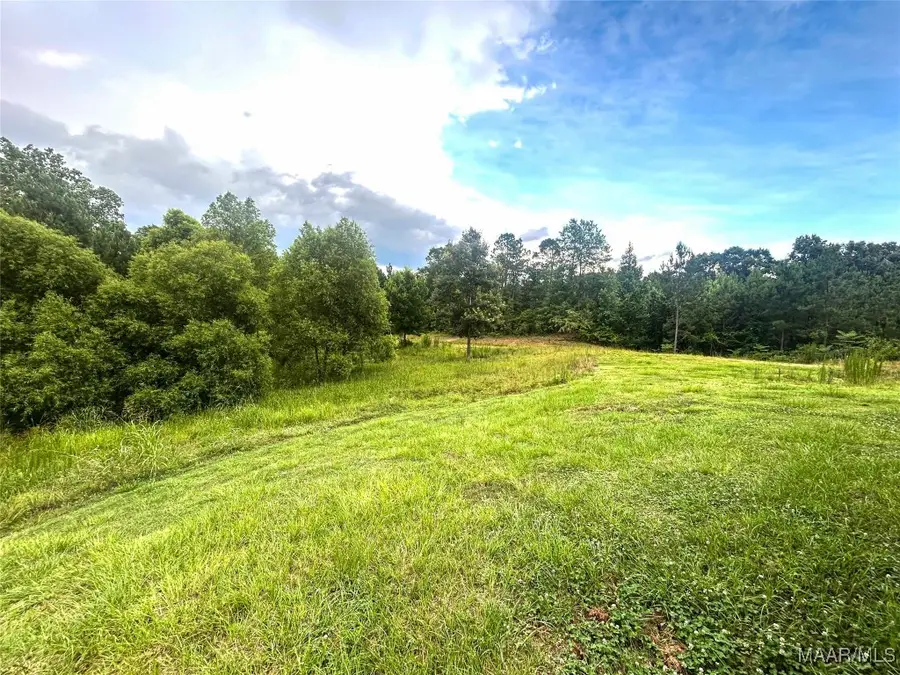 516 Jones Farm Road, Camden, AL 36726 - #2