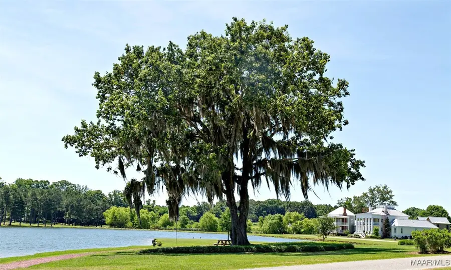 310 Heron Hill, Pike Road, AL 36064 - Image #3