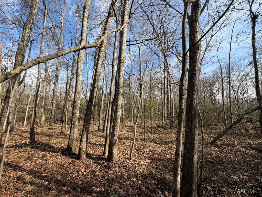 . Highway 31, Letohatchee, AL 36047 - #1