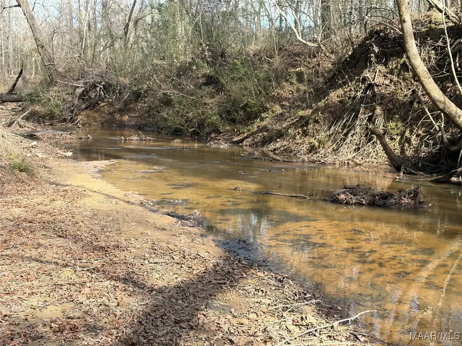 . Highway 31, Letohatchee, AL 36047 - #3