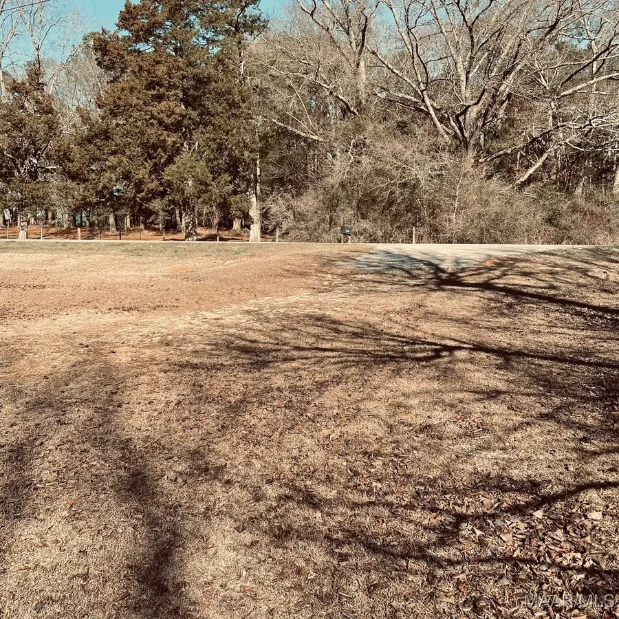 5983 Highway 141, Elba, AL 36323 - #3