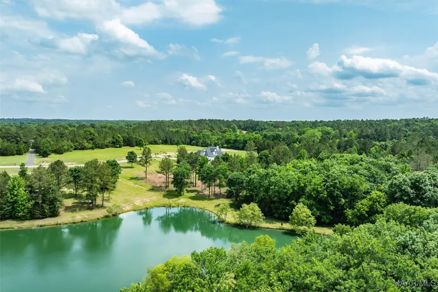 Lot 8 Leahmon Lane, Mathews, AL 36052 - Image #2