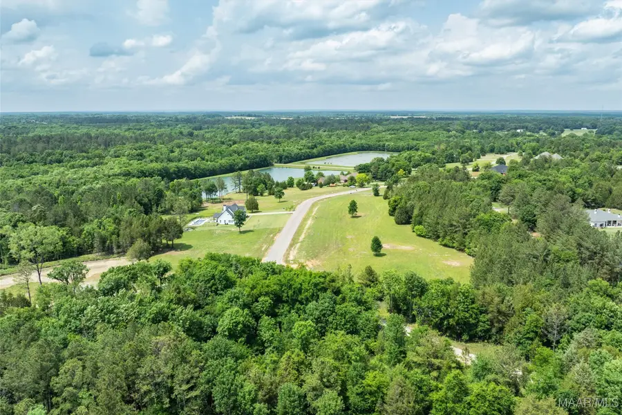 Lot 2 Leahmon Lane, Mathews, AL 36052 - Image #3