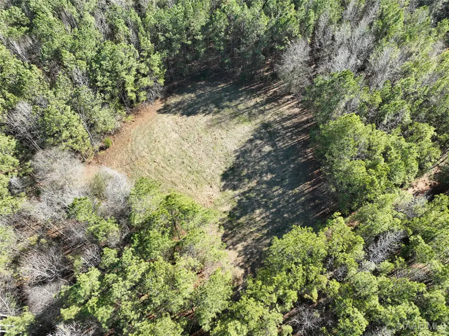 57 Pryor Bottom Road, Marion, AL 36756 - Image #3