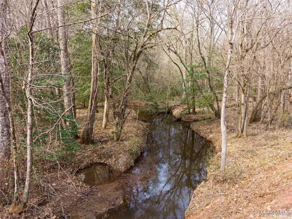 0 Farmstead Road, Greenville, AL 36037