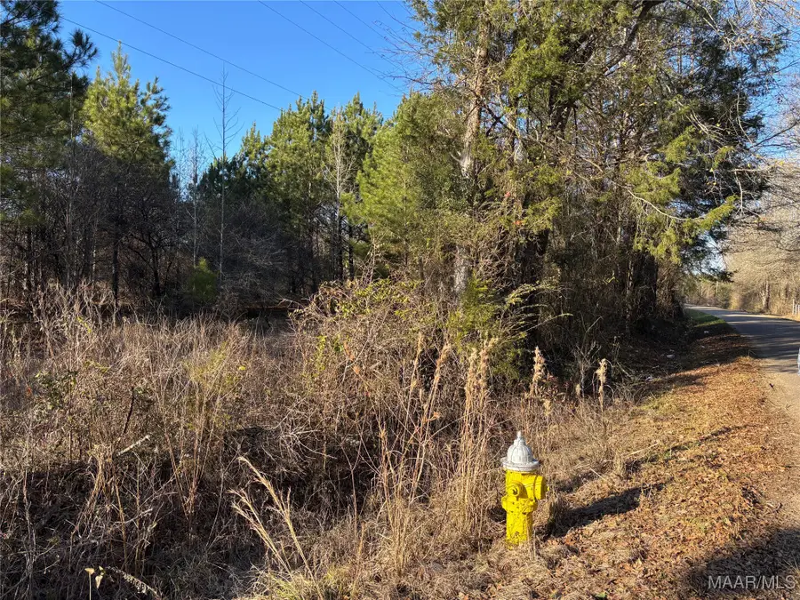 0 Old Hayneville Road, Montgomery, AL 36108 - Image #3