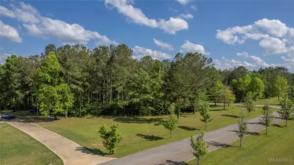152 Woods N Water Lane N, Mathews, AL 36052