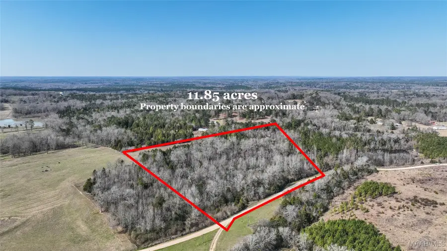 0 Highway 14 W, Valley Grande, AL 36701 - #2