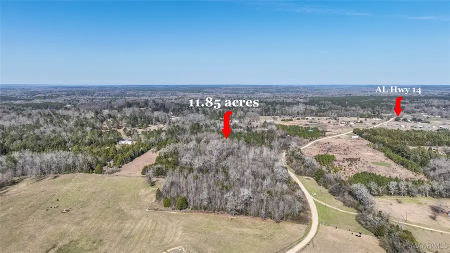 0 Highway 14 W, Valley Grande, AL 36701 - #3