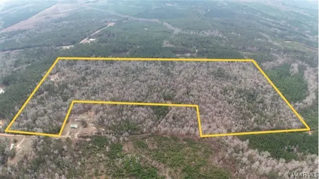 373 Peachtree Road, Greenville, AL 36037 - #2