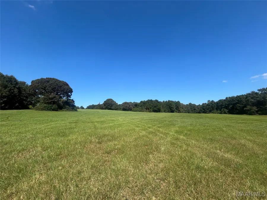 355 County Road 5522 Road, Troy, AL 36081 - #2