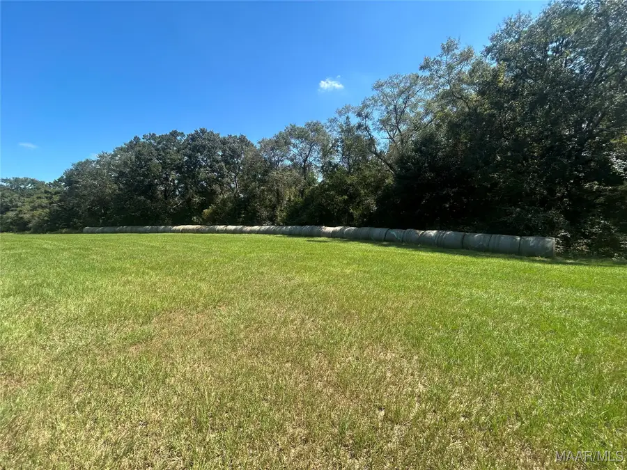 355 County Road 5522 Road, Troy, AL 36081 - #3