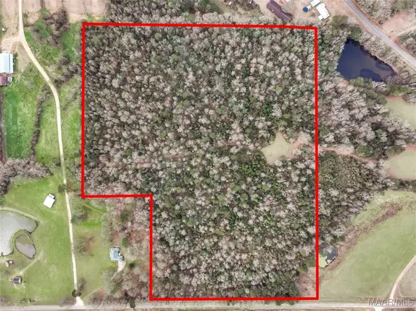 0 Murphy Road, Greenville, AL 36037