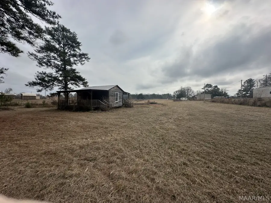 0 Skipper Road, Eclectic, AL 36024 - #3