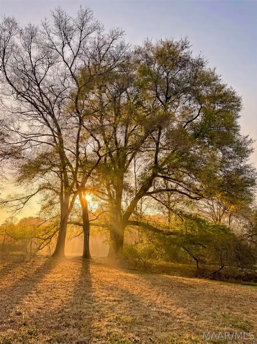 1454 County Road 1128 Acres, Troy, AL 36079 - #2