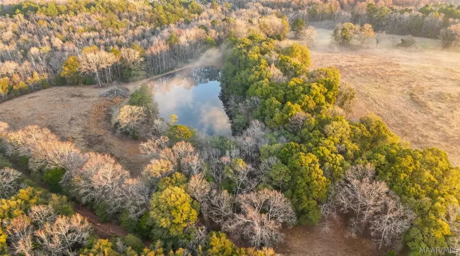 1454 County Road 1128 Acres, Troy, AL 36079 - #3