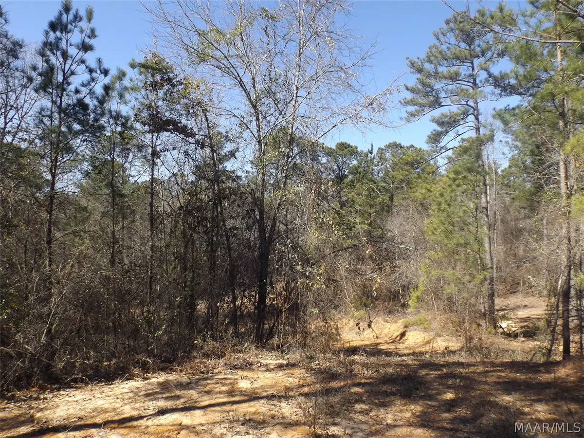 107 Emma Court, Prattville, AL 36067 - #1