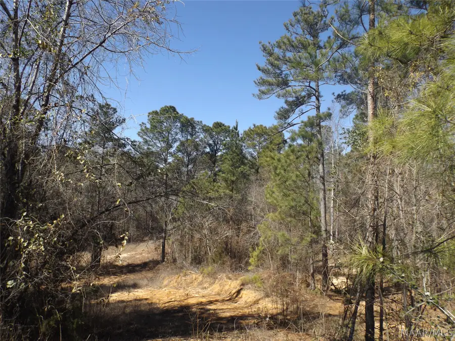 107 Emma Court, Prattville, AL 36067 - #2