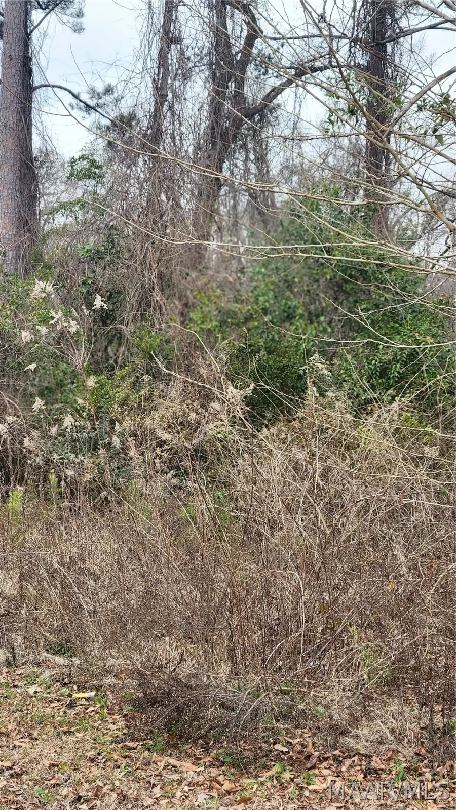 000 Bibb Street, Tuskegee Institute, AL 36088 - #3