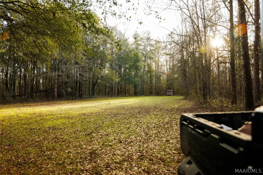 570 Jug Factory Road, Redland, AL 36093 - Image #3