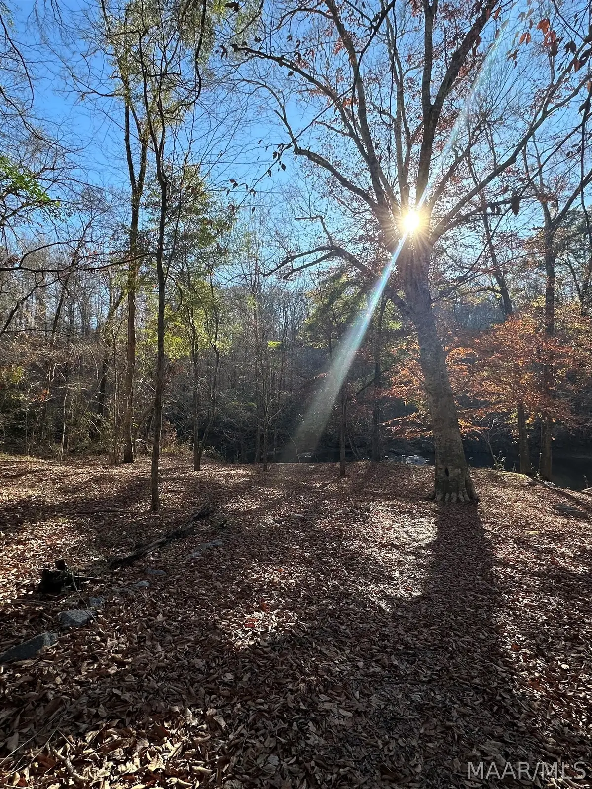 0 County Road 432, Titus, AL 36080 - #1