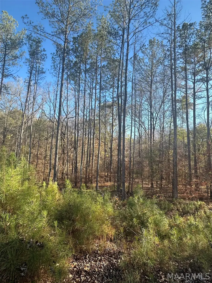 0 County Road 432, Titus, AL 36080 - #2