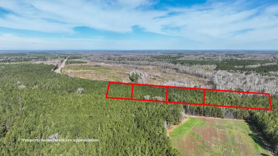 11 Highway 82, Mathews, AL 36052 - #3