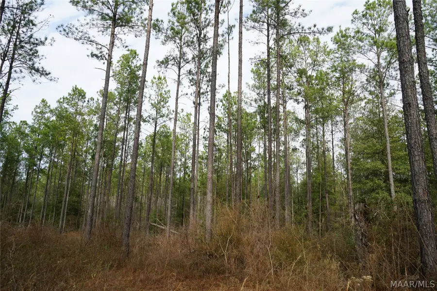 11700 County Rd 7 Highway, Troy, AL 36081 - #2