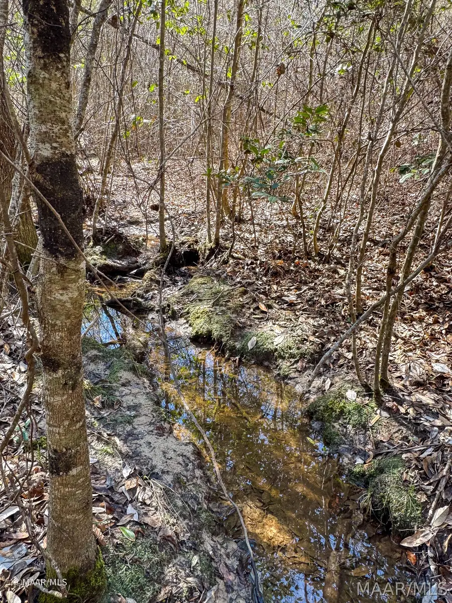 0 County Road 56, Thomasville, AL 36784 - #2