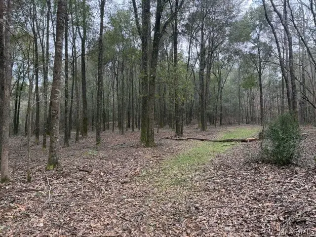 . County Rd 40 W, Prattville, AL 36067 - #2