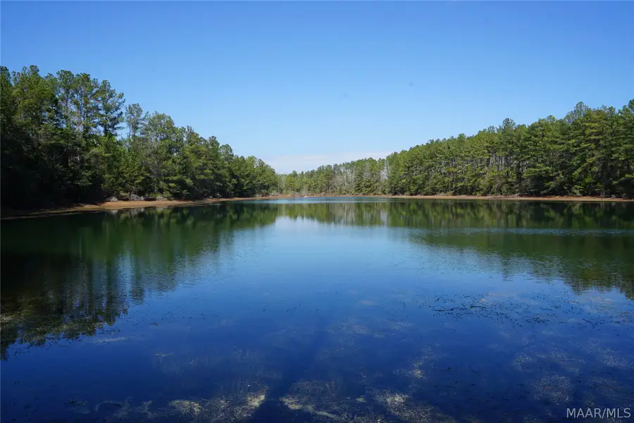 444 Us Highway 31 Highway, Castleberry, AL 36432 - #2