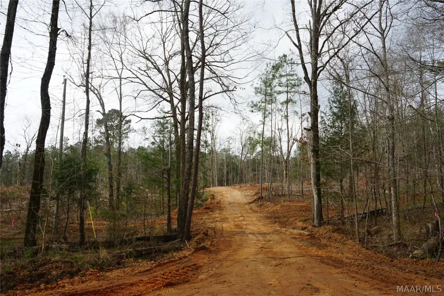 1303 County Road 176 Road, Fitzpatrick, AL 36029 - #3